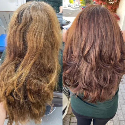 1-damaged-porous-hair-vs-healthy-hair