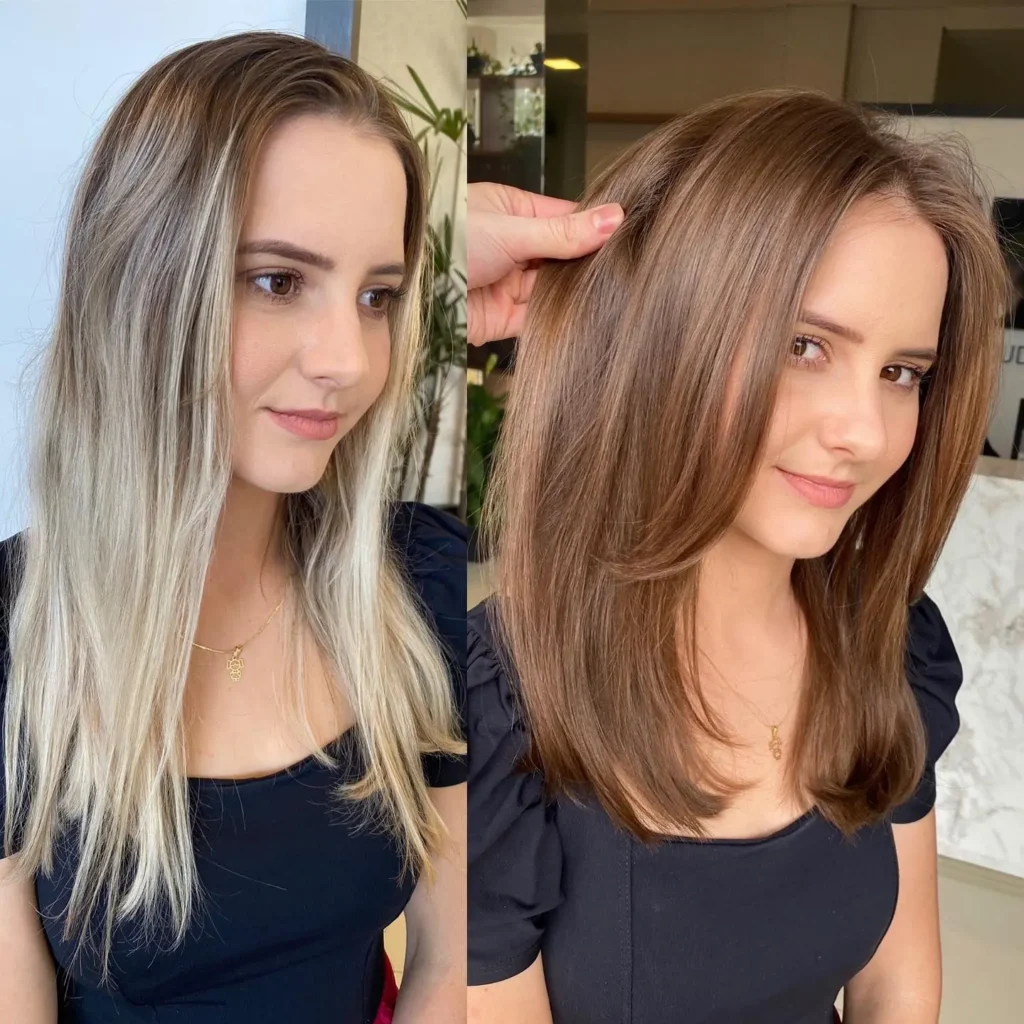 2-blonde-to-natural-brown-hair