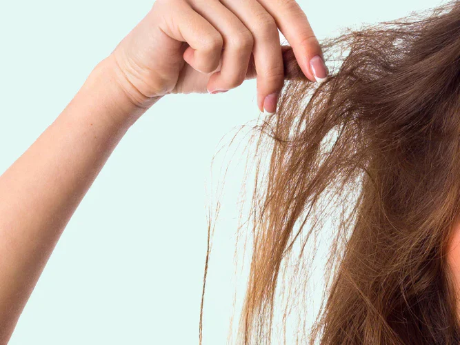 damaged-hair 350ece2f-9dd9-4876-9402-b238d9e20b47 1920x500 crop center
