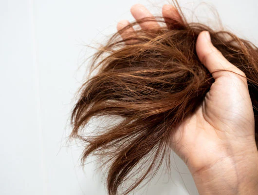 shutterstock 1566716209-1-530x400 c63a9f82-384f-4d75-b92f-e904fae2b697