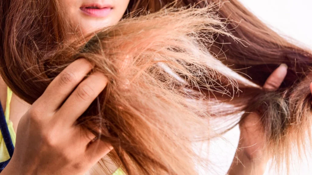 What do dry hair ends look like