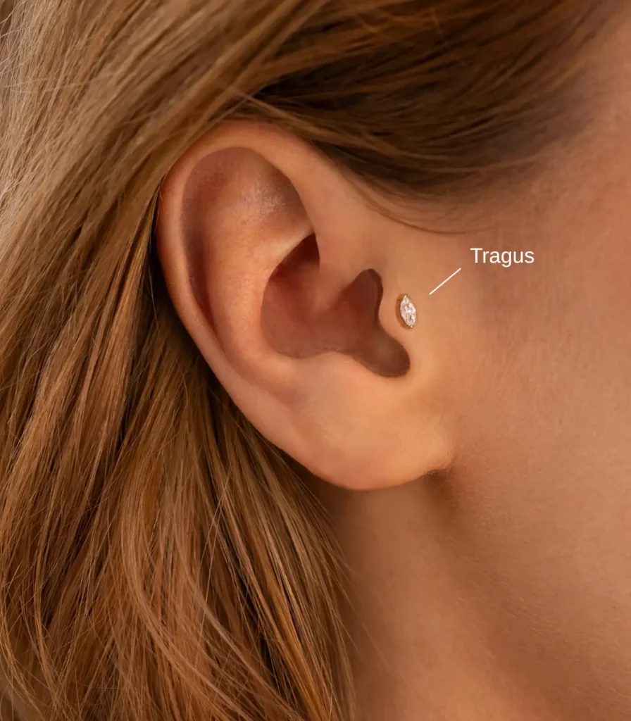 tragus-piercing-position