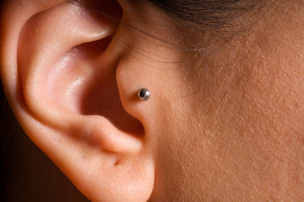 tragus 9f35624c-bab9-4165-b2b2-2eb5eff2720b