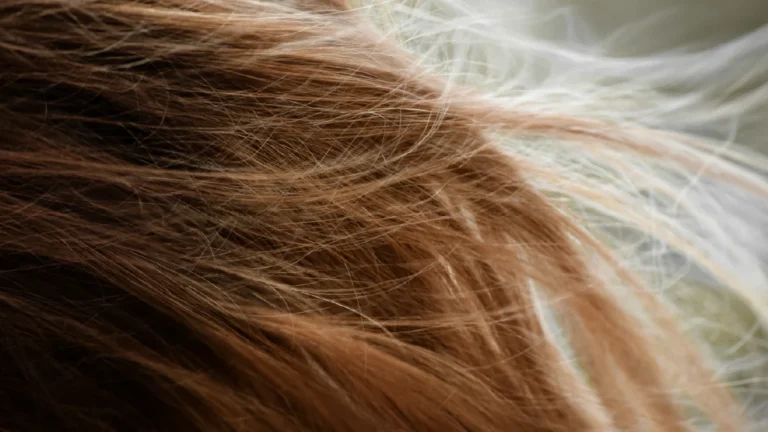 FIN26 05 Blog Argan Dry Hair Images 1280x720px-02 3d36c96a-c184-4659-8586-f3421ff7c78d